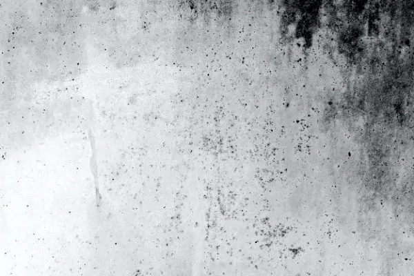 Moisture patches or dark stains on walls