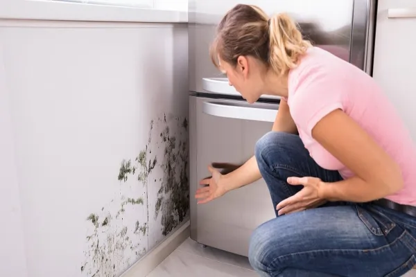 A damp smell indoors often means hidden leakage behind walls.