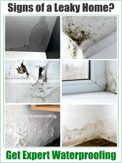Signs of a Leaky Home: Does Your House Need Waterproofing?