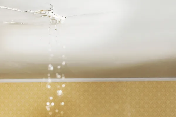 Water stains or dripping ceilings during rain suggest roof leakage issues.