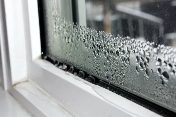 Water entering near windows shows gaps or failed exterior sealing.