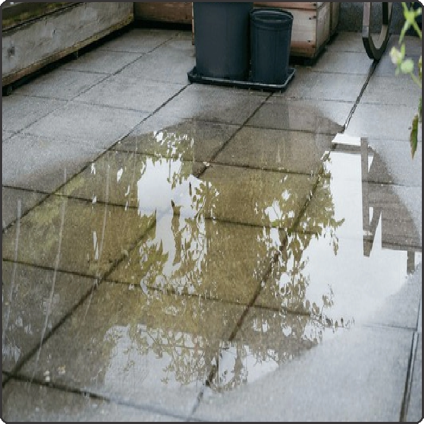Flat roof with standing water