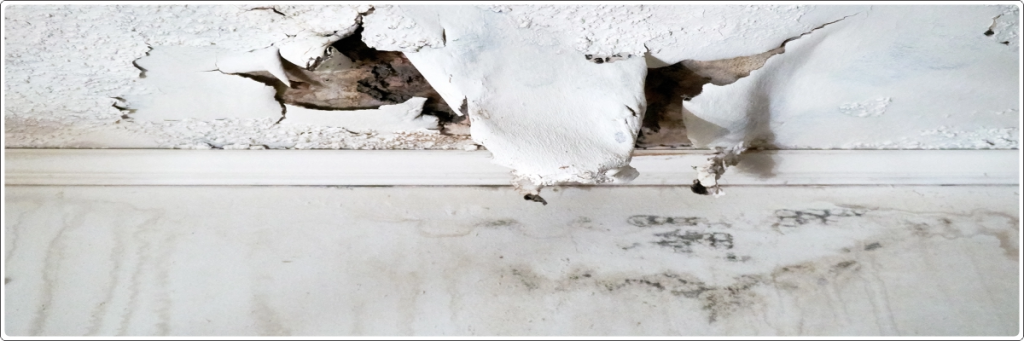 Peeling paint and damaged plaster due to terrace seepage