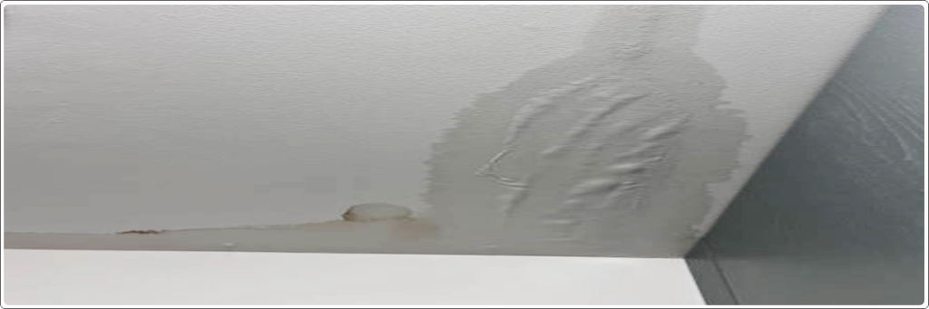 Water seepage on ceiling during rain from terrace cracks